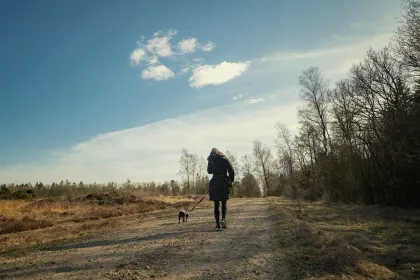De impact van het bezitten van een huisdier op je gezondheid