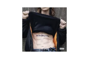 Anouk - Set This Thing On Fire (LP)