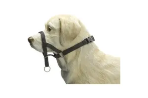 Beeztees Dog Control - Halsband Hond - Zwart - L