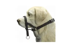 Beeztees Dog Control - Halsband Hond - Zwart - M - Snuitomtrek 32 cm
