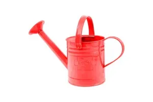 Bigjigs Red Watering Can
