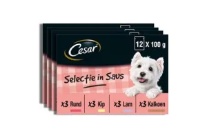 Cesar Hondenvoer - Mix Selectie in Saus - Maaltijdzakjes - 48x100g