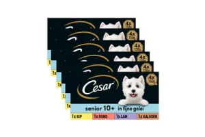Cesar Hondenvoer - Senior 10+ - Mix in Gelei - Kuipjes - 24x150g