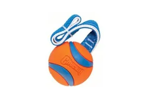 Chuckit Ultra Tug - Hondenspeelgoed - Hondenbal - Gemaakt van duurzaam rubber - Drijvend hondenspeeltjes - Voor elk terrein - Maat M - Diameter 6 cm - Oranje - 1 stuks