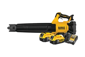 DeWalt 18V XR Axiale 5,0 Ah Accu (2x) Starterspakket