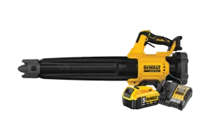 DeWalt 18V XR Axiale 5,0 Ah Accu Starterspakket