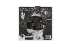 Di-Rect - Time WIll Heal Our Senses (LP)