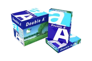 Double A Paper A4-papier Wit 2.500 vellen