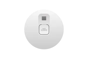 ELRO Blue Line CBFS25 Rookmelder (10 jaar)