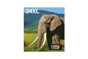 Epson 24XL Cartridges Combo Pack