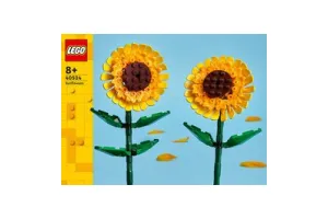LEGO Iconic Zonnebloemen - Botanical Collection - 40524