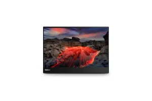 Lenovo ThinkVision M14t Gen2