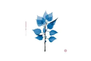 Matt Berninger - Get Sunk (CD)