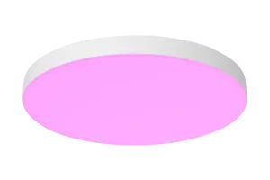 Philips Hue Datura paneellamp - White and Color - rond - wit - klein