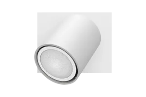 Philips Hue Runner opbouwspot White Ambiance - 1 Spots - Wit