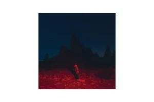 Phoebe Bridgers - Punisher (LP)