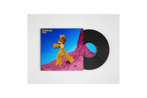 Pommelien Thijs - Per Ongeluk (LP)