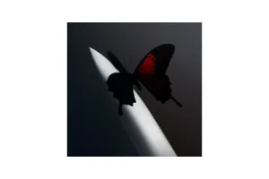 Post Malone - Twelve Carat Toothache (2 LP) (Coloured Vinyl) (Limited Edition)