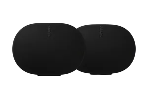 Sonos Era 300 Zwart Duopack
