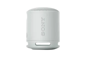 Sony SRS-XB100 Grijs