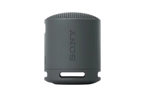 Sony SRS-XB100 Zwart