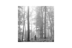 Taylor Swift - Folklore (CD)