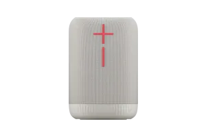 Ultimate Ears Epicboom Zwart