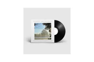 Vreemde Kostgangers - Mist (LP)