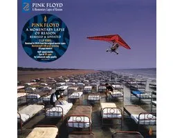 A Momentary Lapse Of Reason (2LP)