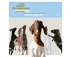 Antwerp Philharmonic Orchestra - The Seven Symphonies A Classical Tribute To Beach Boys Music (CD)