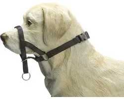 Beeztees Dog Control - Halsband Hond - Zwart - L