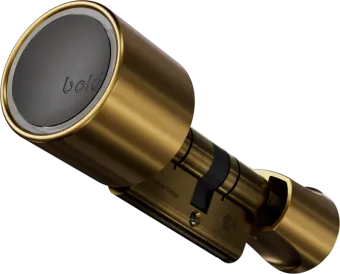 Bold Elite Smart Lock SX33 Goud