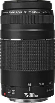 Canon EF 75-300mm f/4.0-5.6