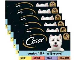 Cesar Hondenvoer - Senior 10+ - Mix in Gelei - Kuipjes - 24x150g
