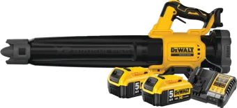 DeWalt 18V XR Axiale 5,0 Ah Accu (2x) Starterspakket