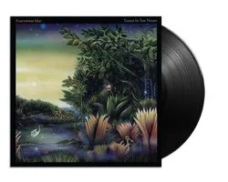 Fleetwood Max - Tango in the Night (LP)