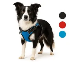Harnas hond - honden tuigje - harnas hond anti trek - hondentuigjes - hondentuig anti trek - Flamingo Balou - blauw - maat L - A:40-62cm B:60-85cm