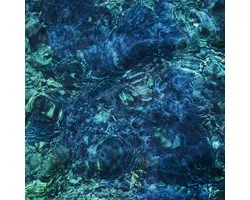Ichiko Aoba - Luminescent Creatures (CD)