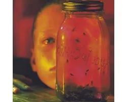 Jar Of Flies