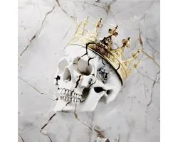 Jelly Roll - Beautifully Broken (LP)