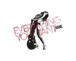 Kane - Everything You Want (LP)