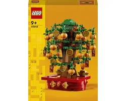 LEGO Iconic - Geldboom - 40648