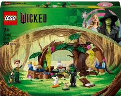 LEGO(R) Wicked Elphaba's Schuilhut Bouwset voor Kinderen - 75687