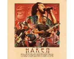 Liveforms, an Evening With Haken