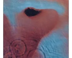 Meddle