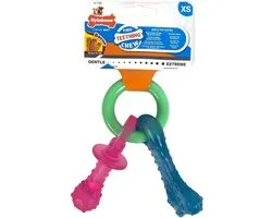 Nylabone Puppy Tandjes Krijgen Bot - Hondenspeelgoed - Bacon - 21.5 cm - Multi Kleur - S