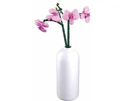 Orchideeën Sluban: 261 stuks (M38-B1101-12)