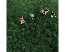 Parcels - Loved (LP)