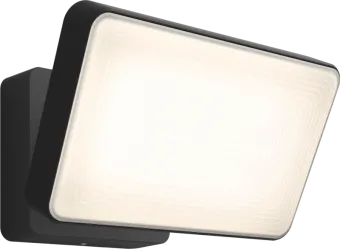 Philips Hue Discover schijnwerper White and Color voor buiten