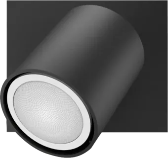 Philips Hue Runner opbouwspot White Ambiance - 1 Spots - Zwart